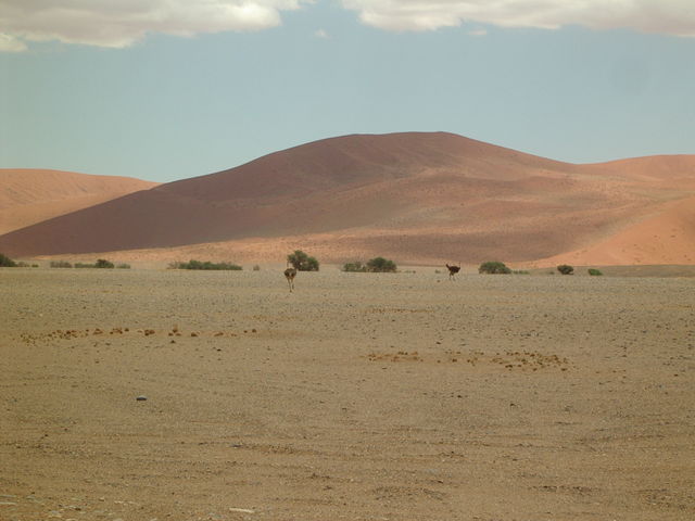 aimgp2986