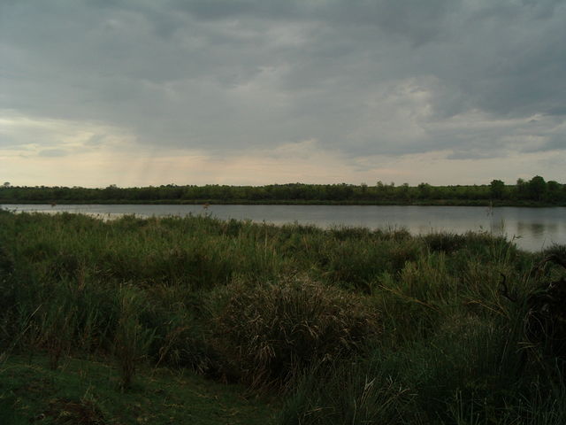 aimgp3141