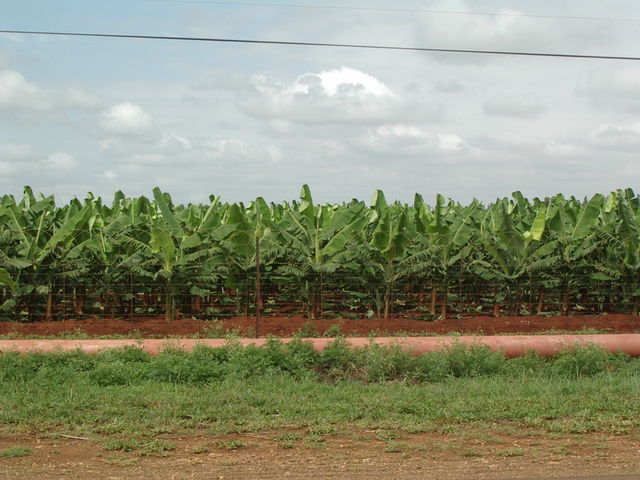aimgp3250